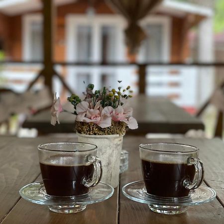Гостевой Комплекс Парус Hotell New Athos Eksteriør bilde