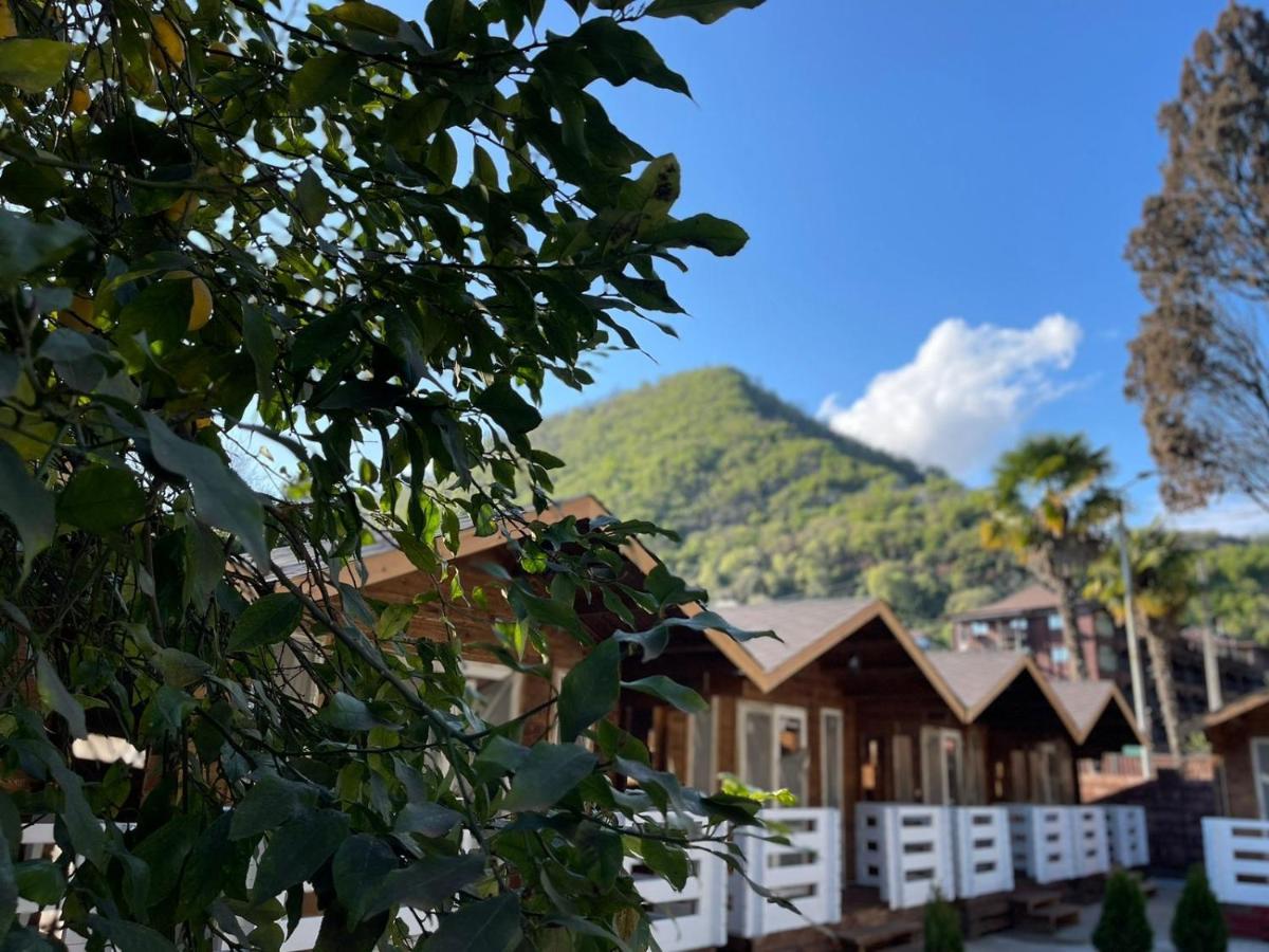 Гостевой Комплекс Парус Hotell New Athos Eksteriør bilde