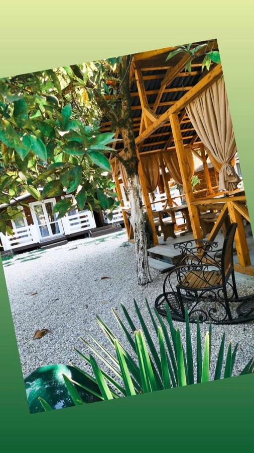 Гостевой Комплекс Парус Hotell New Athos Eksteriør bilde